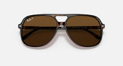Ray-Ban Bill RB2198 sunglasses with brown tinted lenses and dark havana-style temples.