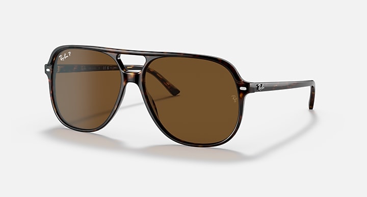 Ray-Ban Bill RB2198 sunglasses with dark frame accents and brown tinted lenses, angled.