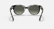 Ray-Ban Orion sunglasses, grey havana round frames with dark lenses, straight-on