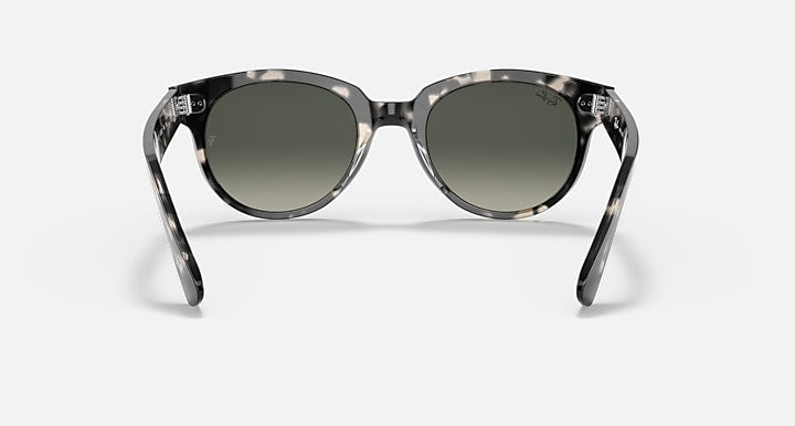 Ray-Ban Orion sunglasses, grey havana round frames with dark lenses, straight-on