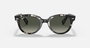 Ray-Ban Orion sunglasses, grey havana round frames with dark grey lenses, front view