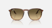 Ray-Ban RB2203 sunglasses with amber-brown lenses and Havana frame, front view