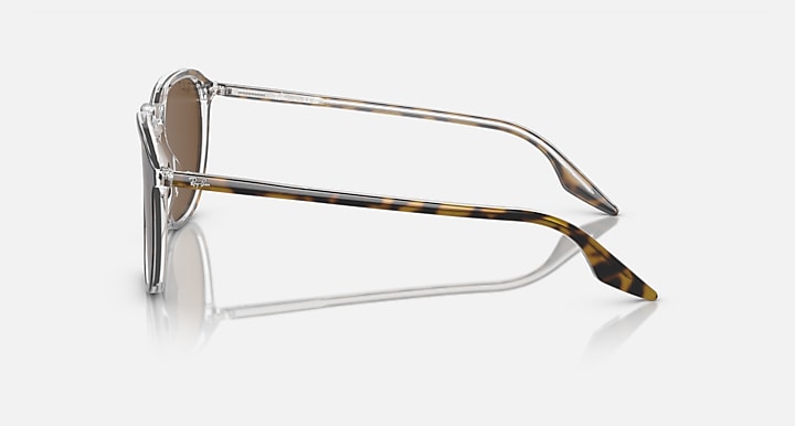 Transparent and tortoise-accent rectangular sunglasses, side profile