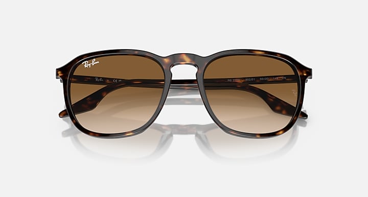 Ray-Ban RB2203 sunglasses front view with tortoise frame and dark brown lenses