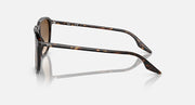 Ray-Ban RB2203 sunglasses side profile with tortoise arms and clear bridge