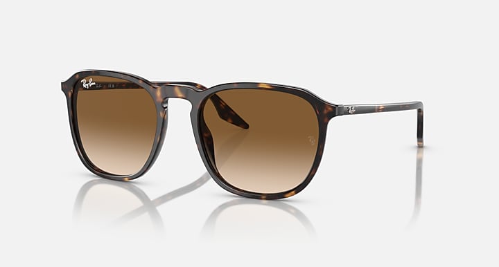 Ray-Ban RB2203 sunglasses with tortoise frame and warm brown lenses