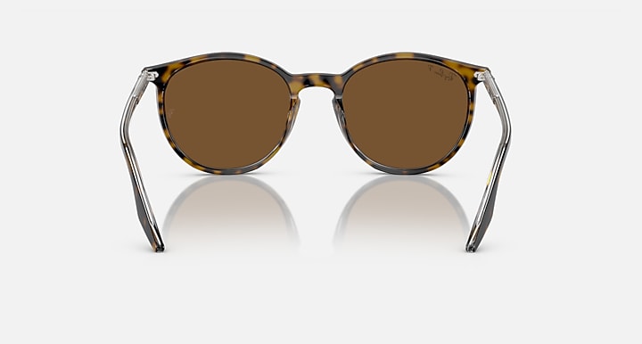 Ray-Ban Havana sunglasses with round brown lenses and clear metal bridge, front view.