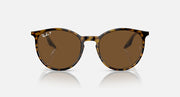 Ray-Ban Havana sunglasses, round brown-tinted lenses with tortoiseshell frame, front view.