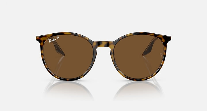Ray-Ban Havana sunglasses, round brown-tinted lenses with tortoiseshell frame, front view.