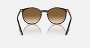 Oversized round sunglasses with tortoise frame and medium brown lenses