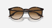 Oversized round sunglasses with tortoise frame and dark gradient brown lenses