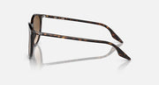 Round sunglasses, side view, tortoise frame with brown lenses