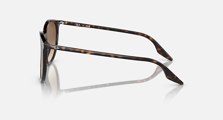 Round sunglasses, side view, tortoise frame with brown lenses