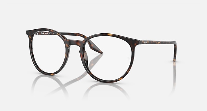 Ray-Ban round sunglasses with tortoise-pattern frame and clear lenses, metal temples