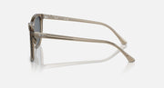 Ray-Ban RB2210 sunglasses with translucent dark brown frame and clear lenses, side profile