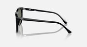 Black sunglasses, side profile view with dark green lenses and curved temples