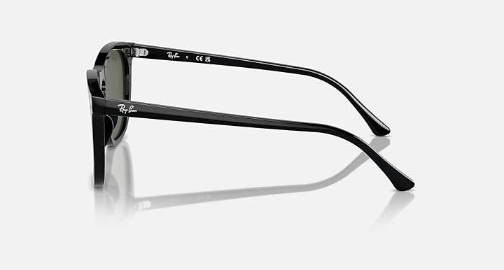 Black sunglasses, side profile view with dark green lenses and curved temples