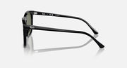Black sunglasses, angled side profile view with dark green lenses and curved temple tips