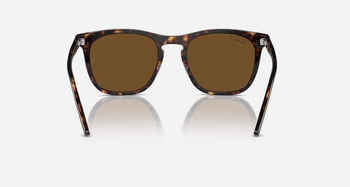 Sunglasses with havana tortoise-look frames and brown lenses, straight-on view