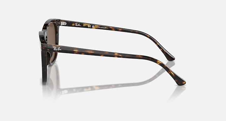 Sunglasses with havana tortoise-look frame, brown lenses, side arm and hinge visible