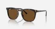Ray-Ban RB2210 sunglasses with havana frames and brown lenses, full-rim wayfarer style