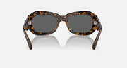 Tortoise brown sunglasses with dark gray lenses and thick oval frames