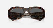 Tortoise brown sunglasses with dark lenses and sculpted bridge, front view