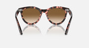 Ray-Ban Wayfarer sunglasses front view, tortoiseshell frame, warm brown lenses