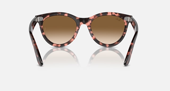 Ray-Ban Wayfarer sunglasses front view, tortoiseshell frame, warm brown lenses