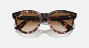 Ray-Ban Wayfarer sunglasses close front view, tortoiseshell frame, dark brown lenses