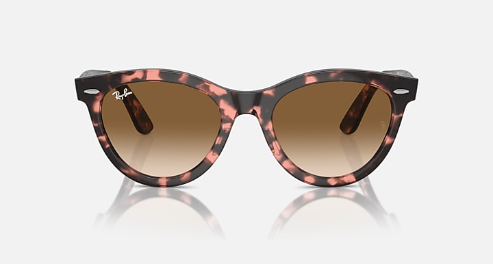 Ray-Ban Wayfarer sunglasses front view, tortoiseshell frame, brown lens tint
