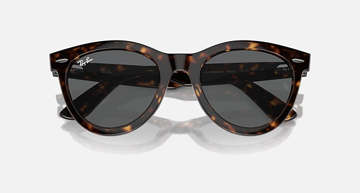 Ray-Ban Wayfarer sunglasses, dark Havana tortoise frame and dark gray lens tint