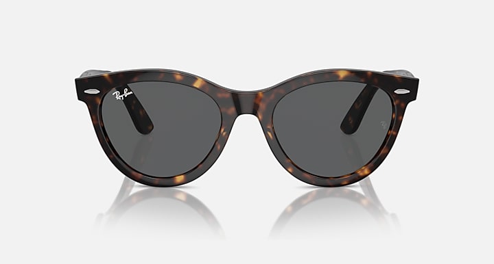 Ray-Ban Wayfarer sunglasses, dark Havana tortoise frame with dark gray lenses