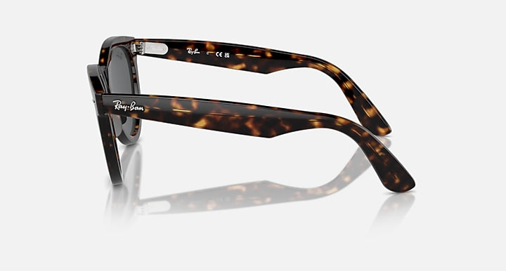 Ray-Ban Wayfarer sunglasses, dark Havana tortoise frame, side profile and temples