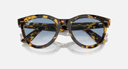 Wayfarer-style sunglasses with tortoiseshell frame and dark lenses, front view