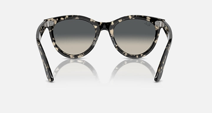 Wayfarer-style sunglasses with light tortoiseshell frame and gray lenses, front view