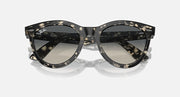 Wayfarer-style sunglasses with dark tortoiseshell frame and dark lenses, front view