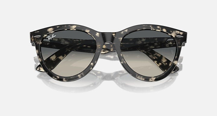 Wayfarer-style sunglasses with dark tortoiseshell frame and dark lenses, front view