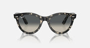 Wayfarer-style sunglasses with dark tortoiseshell frame and gray lenses, front view