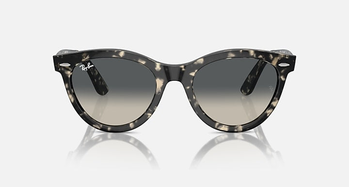 Wayfarer-style sunglasses with dark tortoiseshell frame and gray lenses, front view