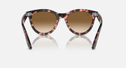 Wayfarer sunglasses with tortoise frame and brown lenses, straight-on view