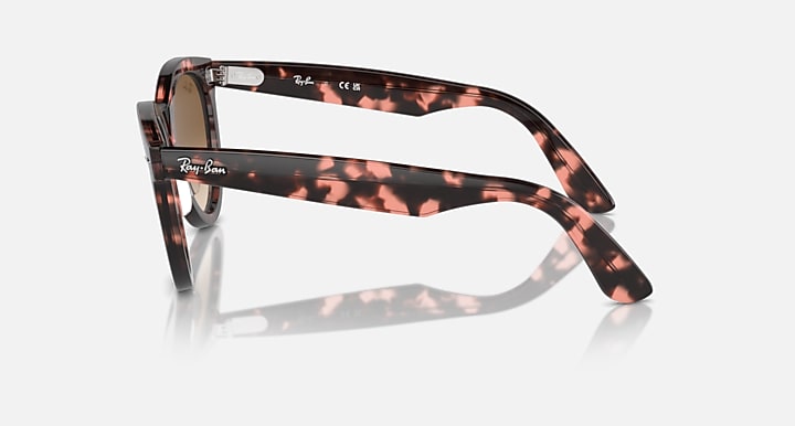 Wayfarer sunglasses with tortoise frame, side profile and temple logo
