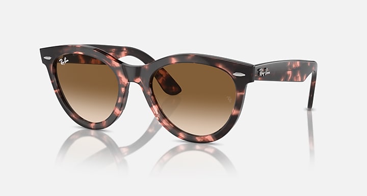 Wayfarer sunglasses with tortoise frame and brown gradient lenses