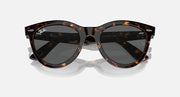 Ray-Ban Wayfarer tortoise sunglasses, front view with dark lenses and metal hinges