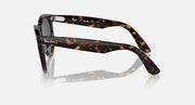 Ray-Ban Wayfarer tortoise sunglasses, right-side profile with dark lens
