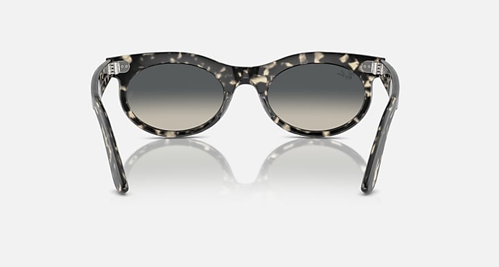 Ray-Ban Wayfarer oval sunglasses, dark speckled frame and dark-tinted lenses straight on