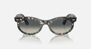 Ray-Ban Wayfarer oval sunglasses, dark speckled frame with dark-tinted lenses front view