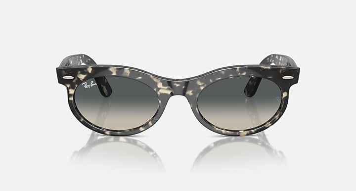 Ray-Ban Wayfarer oval sunglasses, dark speckled frame with dark-tinted lenses front view