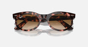 Ray-Ban Wayfarer oval sunglasses with dark tortoiseshell frame and brown lenses