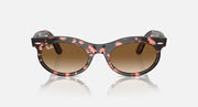 Ray-Ban Wayfarer oval sunglasses in tortoiseshell frame with brown lenses